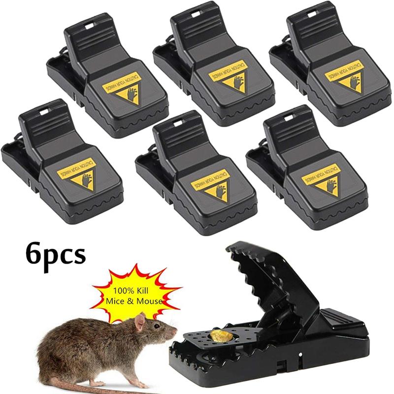 Reusable Pest Trap